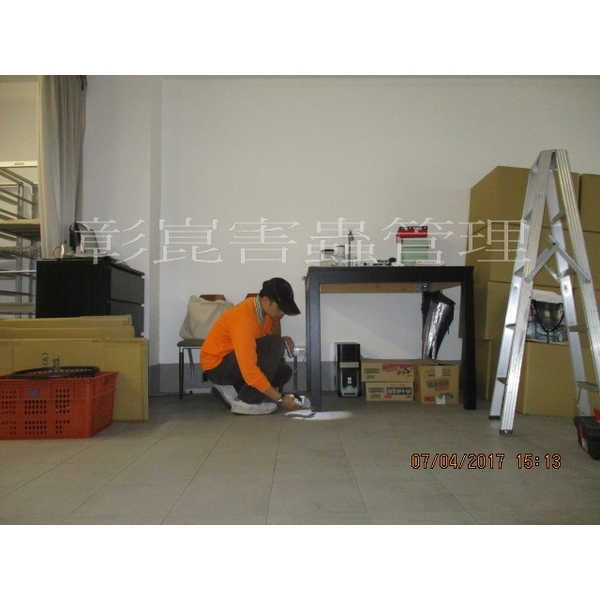 德國蟑螂防治-彰崑環境工程有限公司