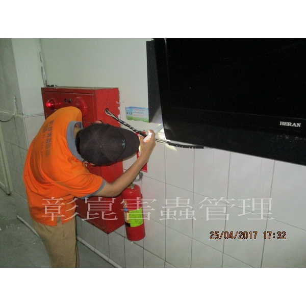 德國蟑螂防治-彰崑環境工程有限公司