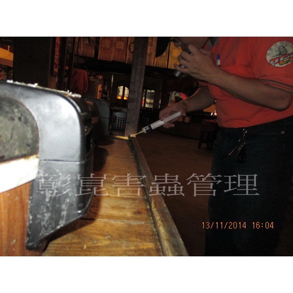 德國蟑螂防治 德國蟑螂防治