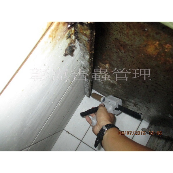 德國蟑螂防治-彰崑環境工程有限公司