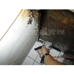 德國蟑螂防治