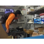 德國蟑螂脫殼