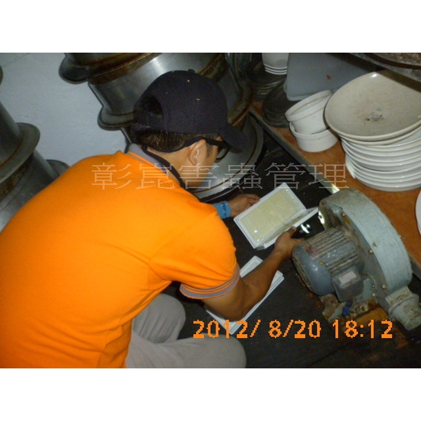 除鼠工程-彰崑環境工程有限公司