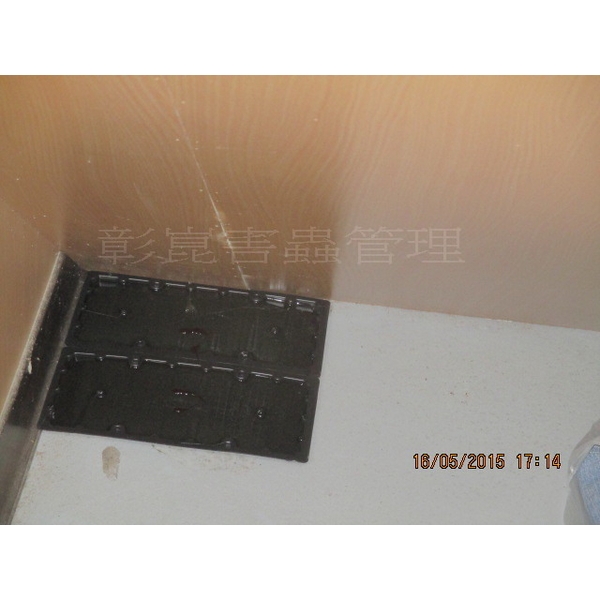 滅鼠工程-彰崑環境工程有限公司