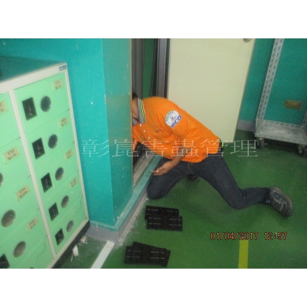 老鼠防治-彰崑環境工程有限公司