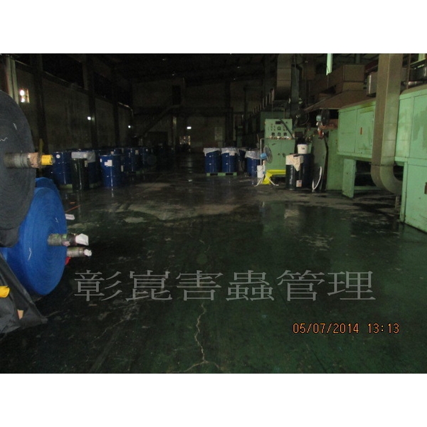 跳蚤防治-彰崑環境工程有限公司