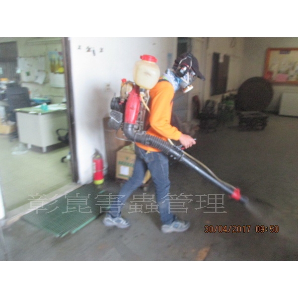 跳蚤防治-彰崑環境工程有限公司