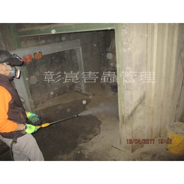 跳蚤防治-彰崑環境工程有限公司