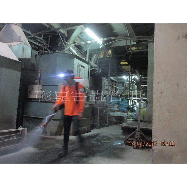 跳蚤防治-彰崑環境工程有限公司
