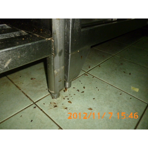 消毒過後-彰崑環境工程有限公司