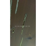 白蟻防治