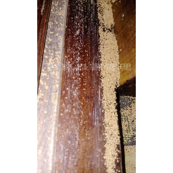 白蟻防治-彰崑環境工程有限公司