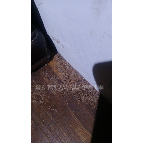 白蟻防治-彰崑環境工程有限公司