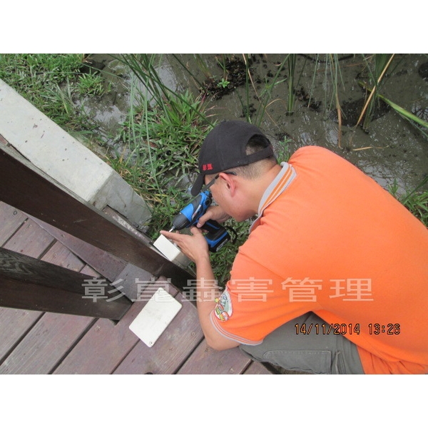 蟻定清防治白蟻-彰崑環境工程有限公司