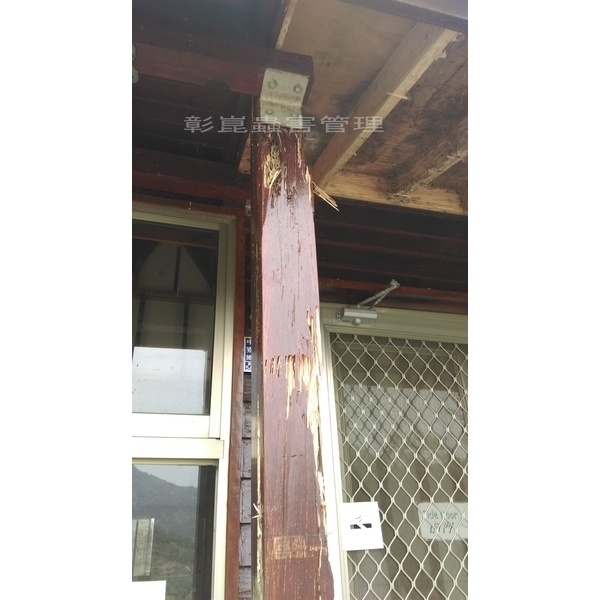 全棟小木屋白蟻防治-彰崑環境工程有限公司
