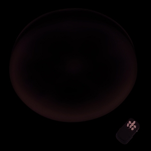 CL-4200FS-昶宣貿易有限公司