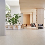 Marmoleum® Linear 夢梵麗亞麻環保地板-協合金有限公司