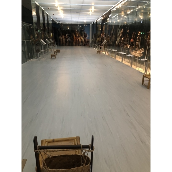 國立自然科學博物館大洋洲廳地板工程