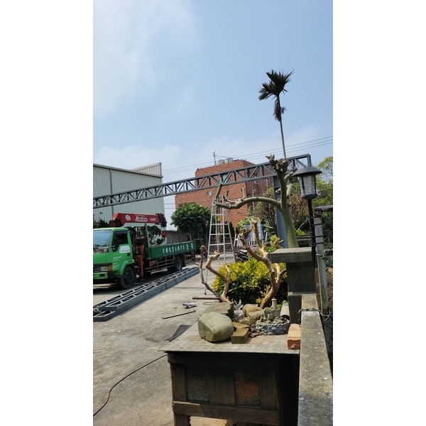 超大座玻璃採光罩骨架安裝 6張-佳德金屬企業社