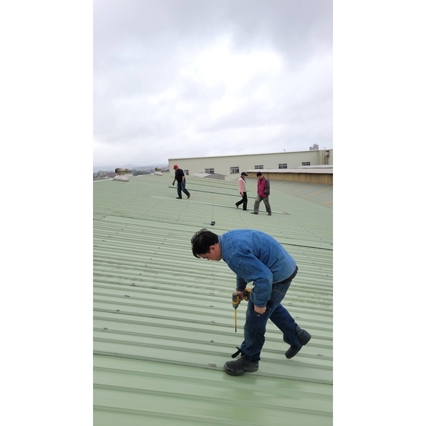 廠房屋頂換板工程 6張