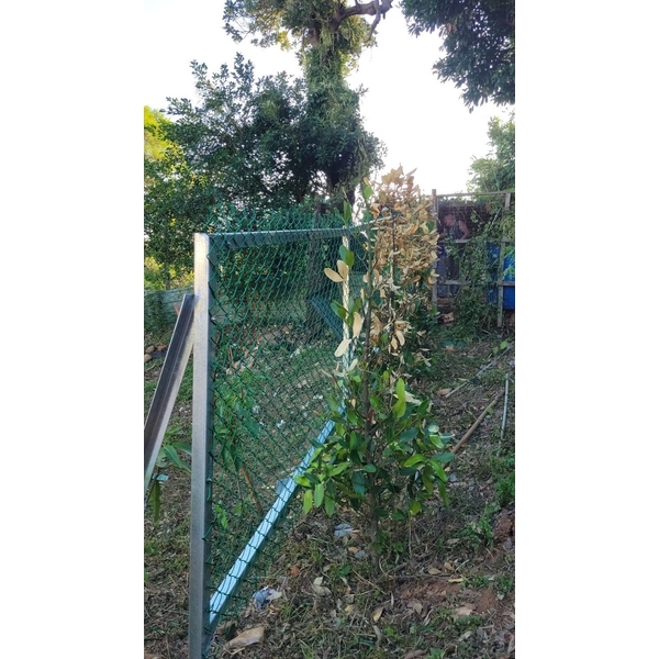 農地圍籬搭建工程 6 張
