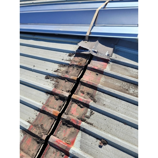 鐵皮屋頂加延白鐵浪板工程