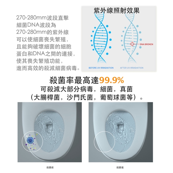 加拿大H&H 短波紫外線燈殺菌器 FJU02-楓節有限公司