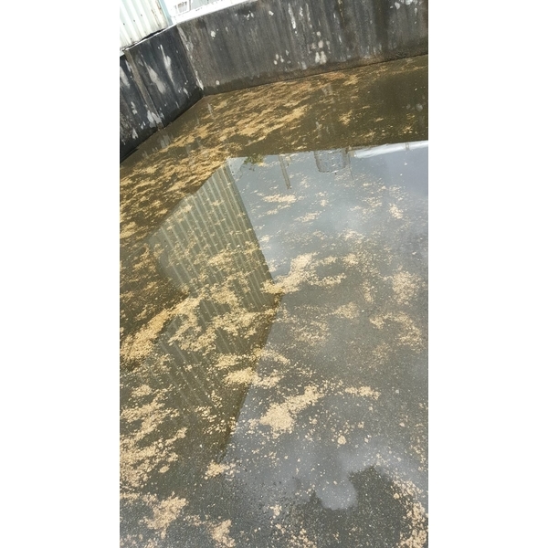 屋頂防水