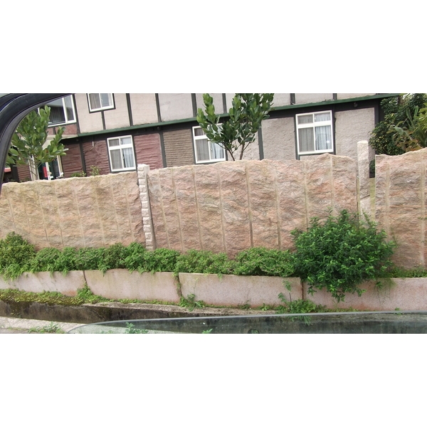 石皮
