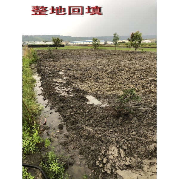 整地回填 整地回填