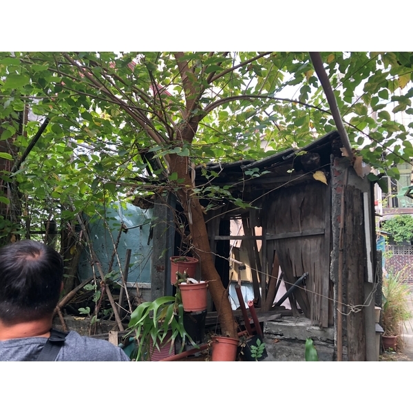 廢棄房屋垃圾清理 廢棄房屋垃圾清理