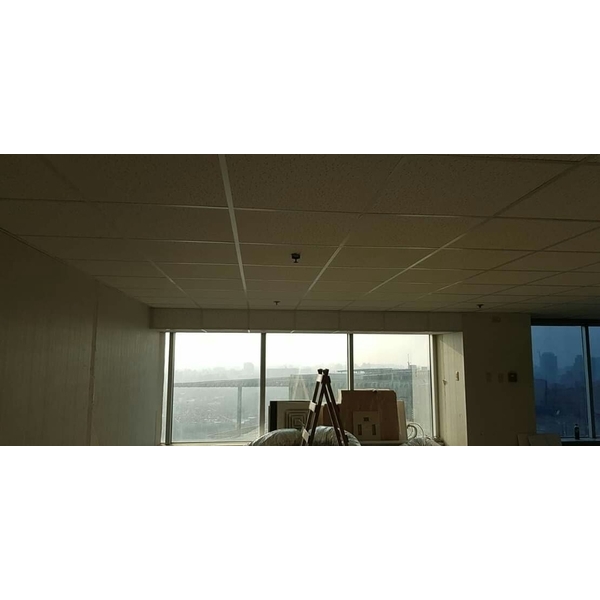 豹紋礦籤天花板