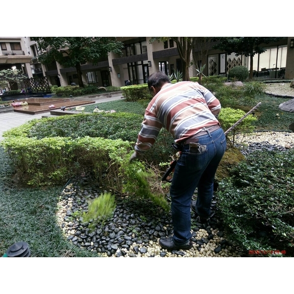 園藝保養-景福園藝