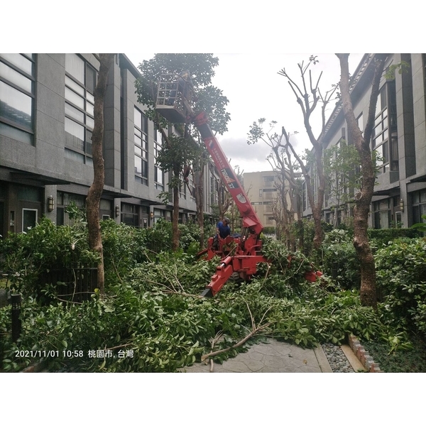 高空作業-景福園藝