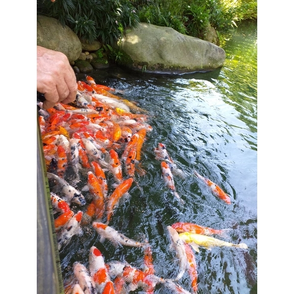 居家環境清潔 居家環境清潔