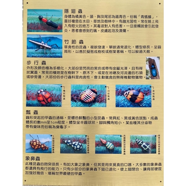 某大生態公園 昆蟲解說-常勝銘版實業社