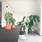 Furniture Linoleum |亞麻面材-Forbo Flooring Taiwan 福爾波台灣