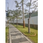 人行道舖面設計-平板磚(透水磚)