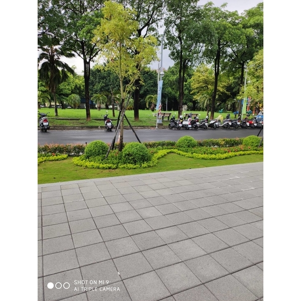 地面鋪設-平板磚(透水磚)-創懋企業有限公司