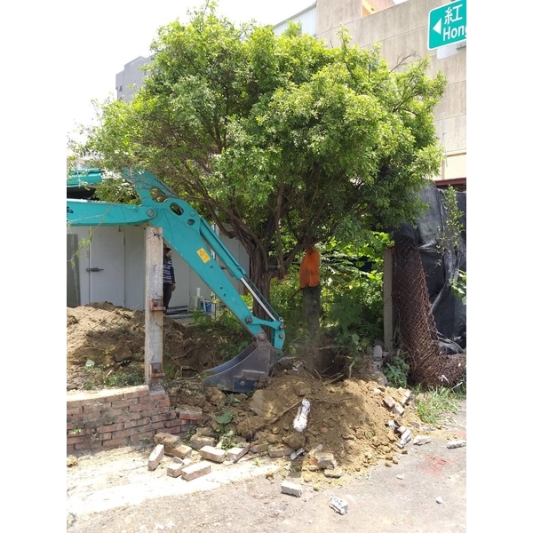 樹木移植 樹木移植