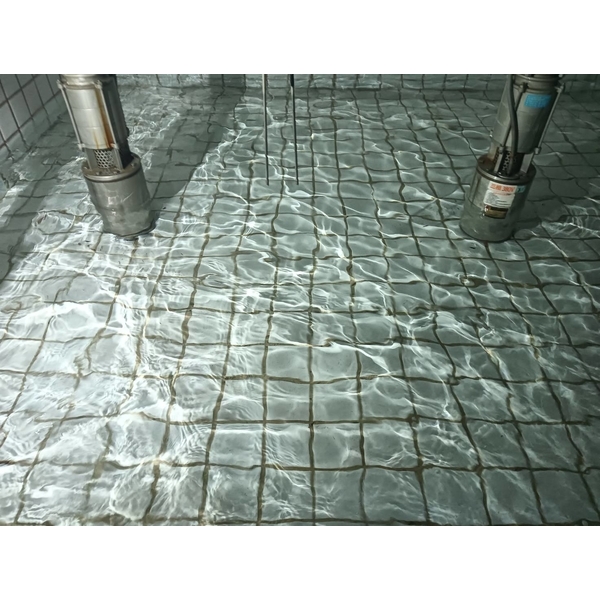 連鎖磚高壓沖洗跟水塔清洗-正順清潔社