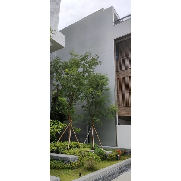 免拆模牆板
