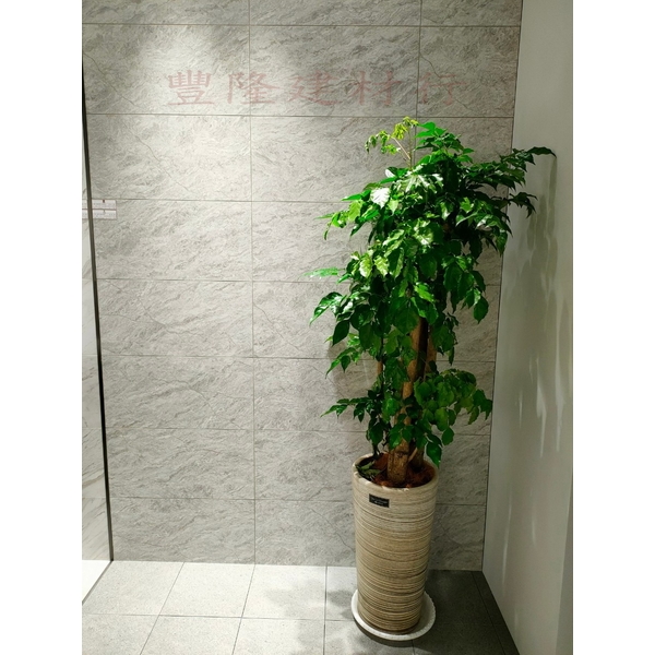 高雄展中-豐隆建材行