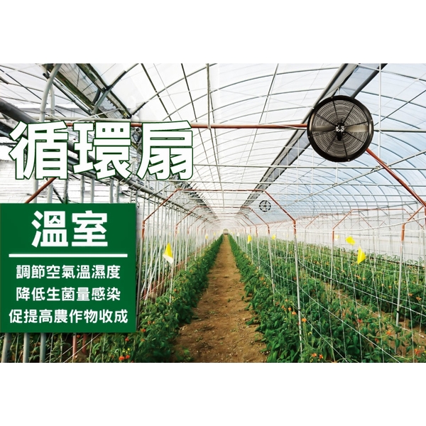 順帆24吋循環扇SF-24142FC／原廠全新／高雄大寮／綠陽／高屏經銷商-綠陽能源環保有限公司