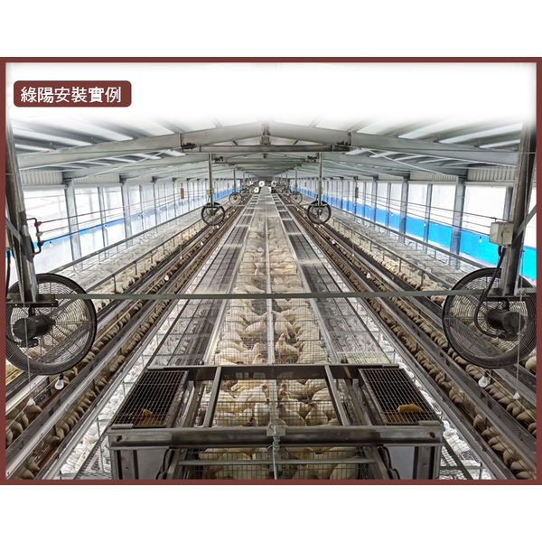 畜牧通風系統規劃-綠陽能源環保有限公司