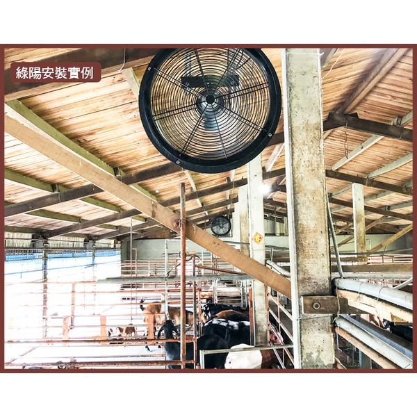 畜牧通風系統規劃-綠陽能源環保有限公司