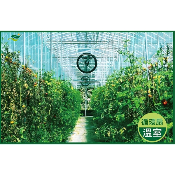 溫室通風系統規劃-綠陽能源環保有限公司