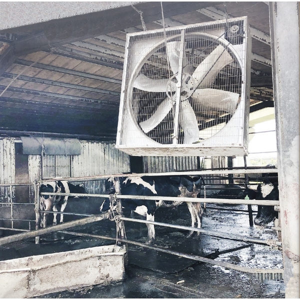 38 鍍鋅板負壓式強力排風扇 ／ SFG-965-綠陽能源環保有限公司
