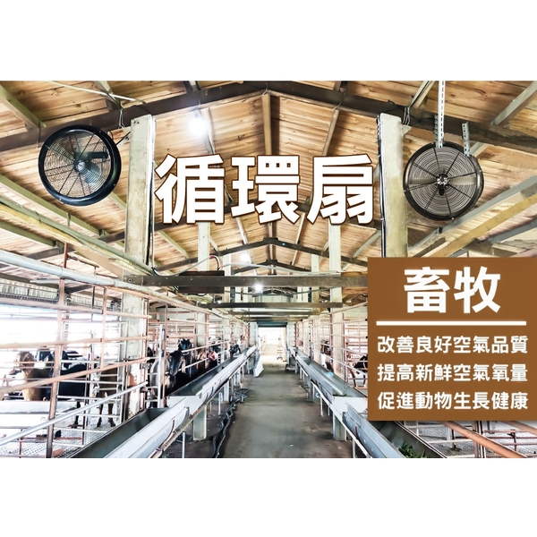 畜牧通風系統規劃安裝實例-綠陽能源環保有限公司