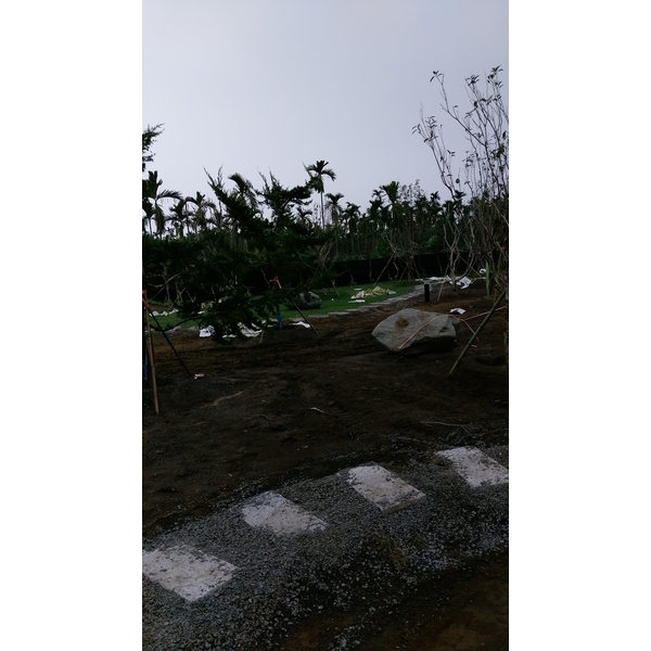 庭園造景施作中